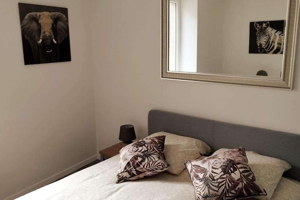 Le Wilson Centre Appartement